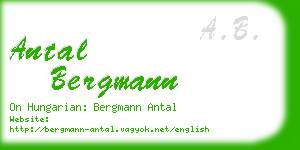 antal bergmann business card